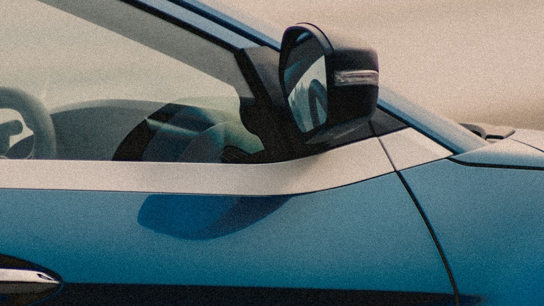 black and white car door