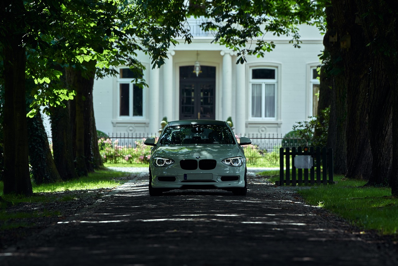 auto  car  bmw  driveway  car wallpapers  avenue  trees  white bmw  nature  white car  automobile  automotive  luxury car